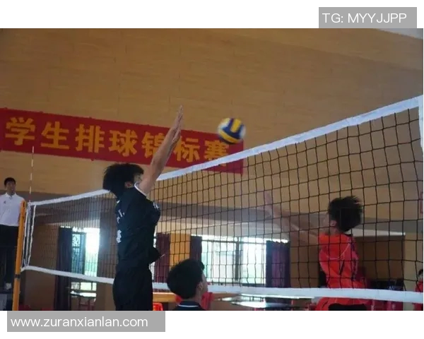 实时新闻排球巨献深入分析西安排球队灵活性与战术创新的奥秘